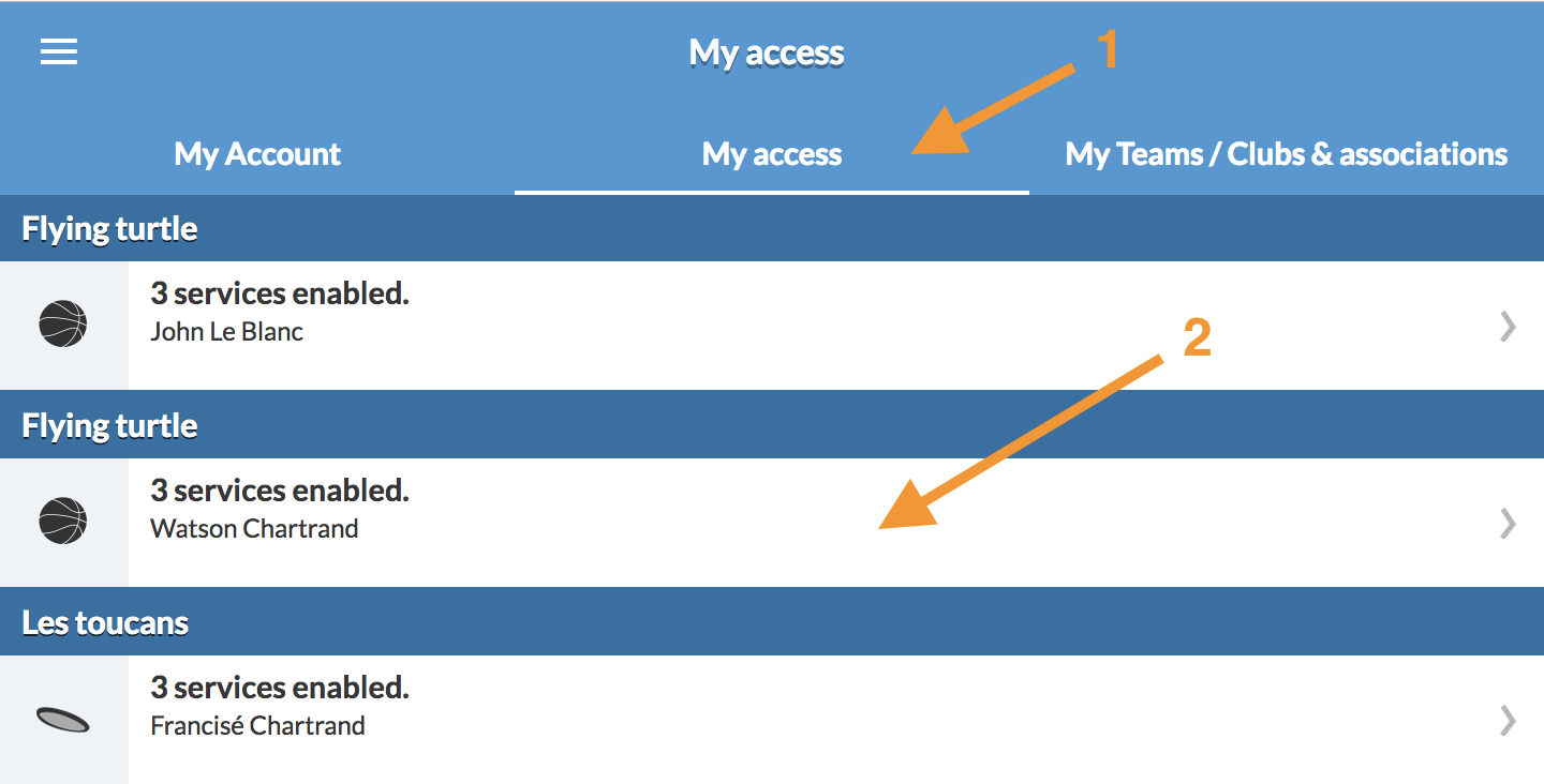 my access section