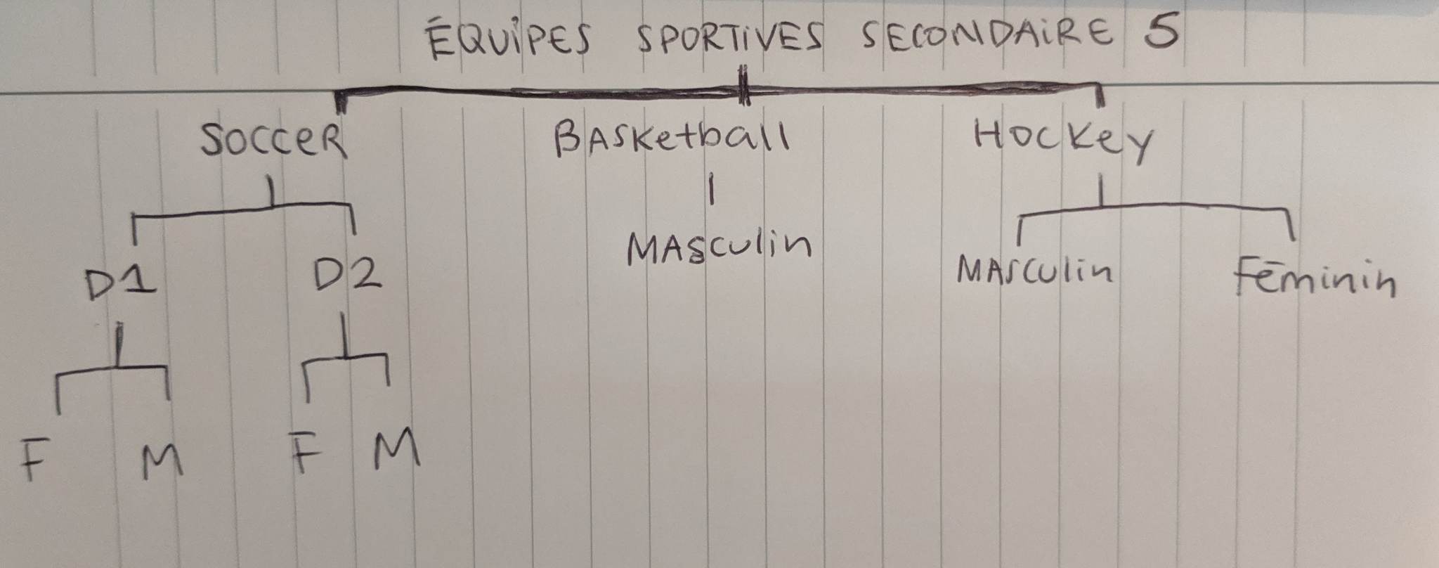 exemple equipe sportive
