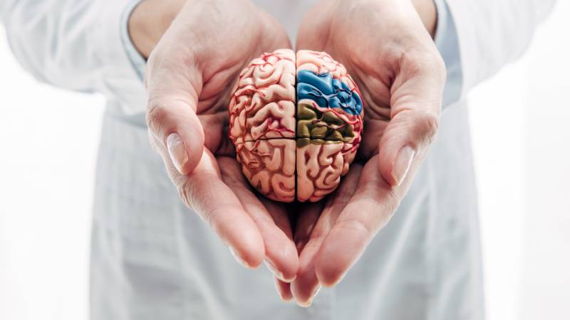 Comprendre les Commotions Cérébrales : Ce Qui se Passe dans le Cerveau